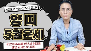 화수연에서 알려주는 2022년 5월 양띠운세!! 신점으로 보는 이달의 운세 씽씽 힘내세요