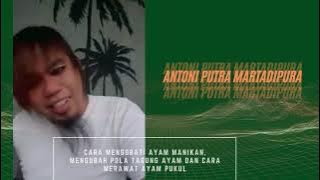 Antoni Martaipura - Bahas Manikan, Mengubah pola tarung, dan Ayam Pukul