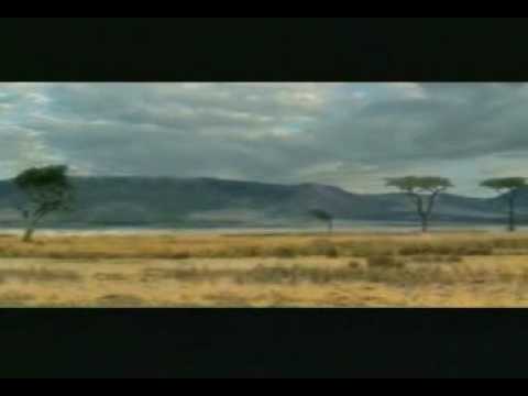 نصيبك حيصيبك 