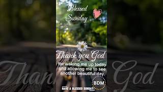 Happy Sunday Everyone have A Blessed  Sunday