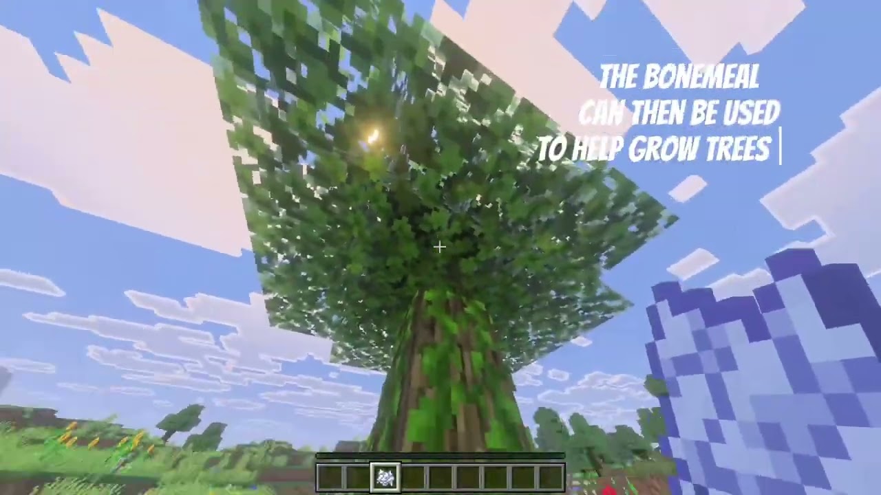 Mr brehnman history project minecraft 