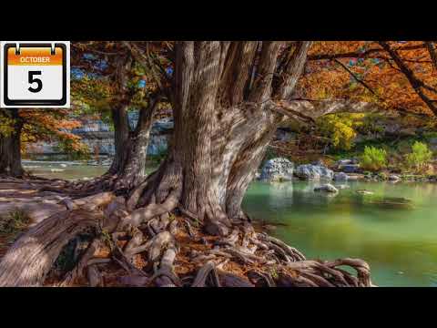 Felty Elementary School Live Stream