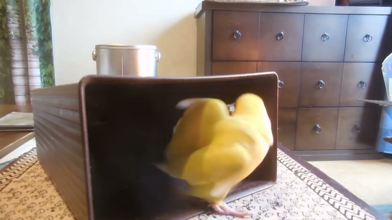 おらおら～～(^^♪