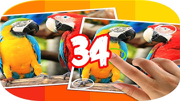 Tap 5 Differences Level 34 Walkthrough