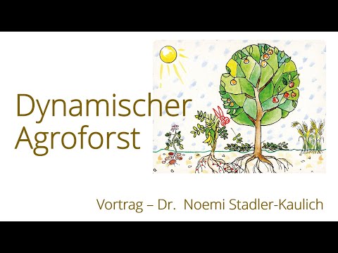 Video: Pflanzen in der Nähe von Brombeeren - Auswahl von Begleitpflanzen für Brombeersträucher
