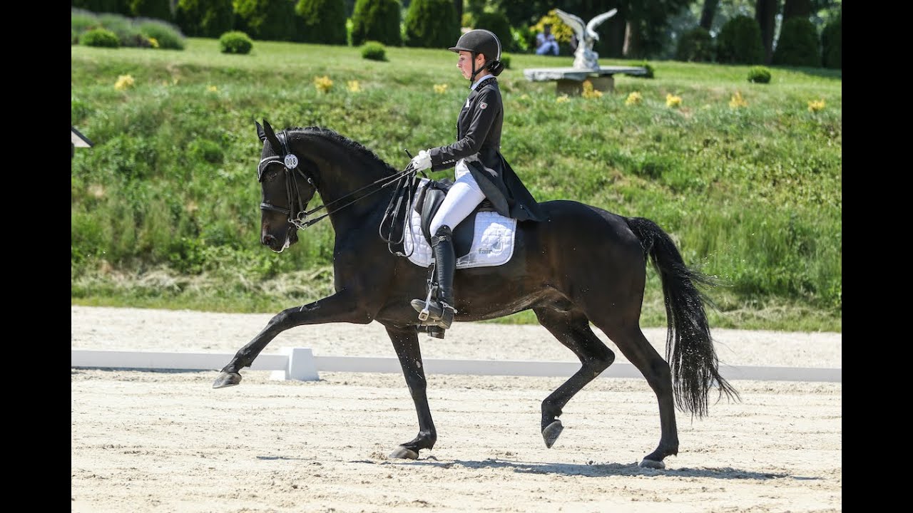 King Ron P - Machnice 2018 Freestyle Mała Runda