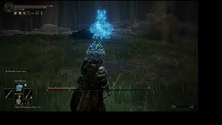 How To Beat Alecto The Black Knife Ringleader, As A Mage, Using 2 Spells - Ashes Of Tiche