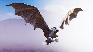 How A Solo Dragon Fights For Survival