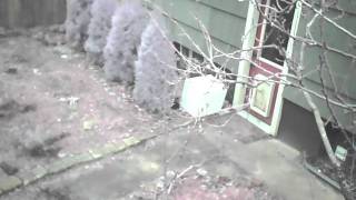 20110205120300.avi