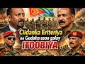 Qax Ka Bilowday Itoobiya Ciidanka Eriteriya Oo Gudaha Usoo Galay