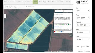 Real-time Rice Management Dashboards for the 2025 crop year
