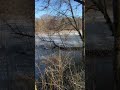 Gaujā Iet Ledus Un Savā Ceļā Nolauž Vecu Koku River Sigulda Ice Nature 