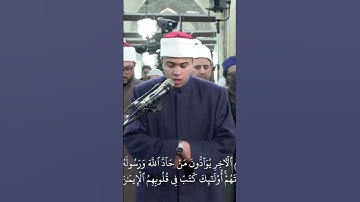 بصوت ندي.. الطالب/ أحمد سامي الجوهري، يؤم المصلين، ويتلو آيات من سورة "المجادلة" في صلاة التراويح