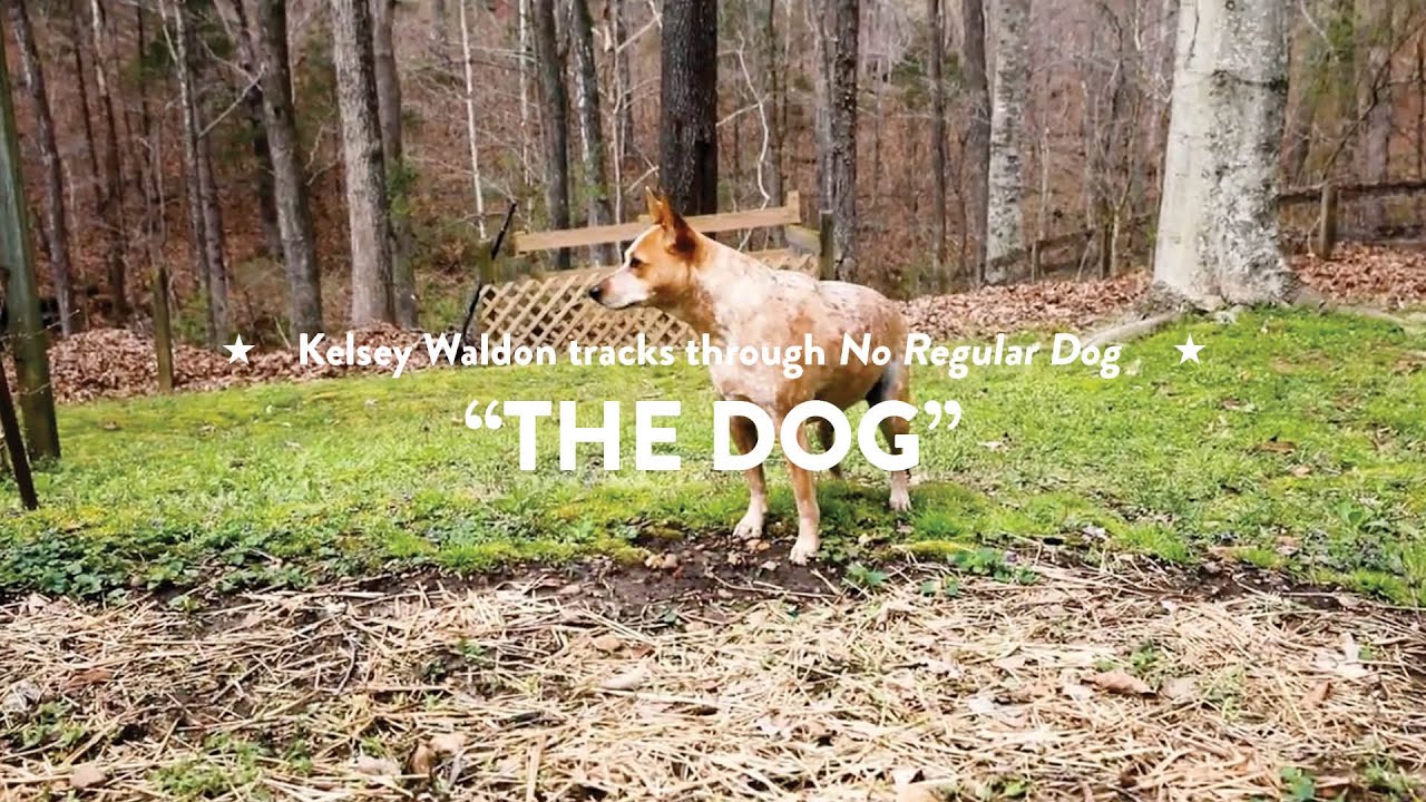 Kelsey Waldon "The Dog" (Track by Track) YouTube