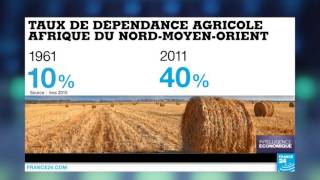 Sécurité alimentaire : la dépendance de l’Afrique du Nord et du Moyen-Orient