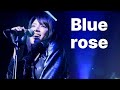 AKB48 - Blue rose