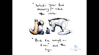 The Path of the Wind Harp