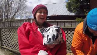 Dr. Pol Presents: Gardening with Charles & Beth