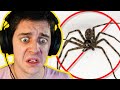 i hate spiders...