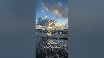 سورة الفجر من ليالي رمضان ... تراويح عام ١٤٤٦هـ