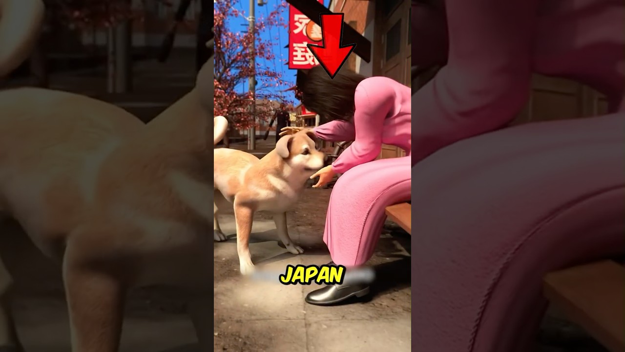 These Dogs Waited for Owners Who Never Came Back 💔 (True Stories)