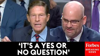 'Would You Stand Up?': Blumenthal Grills Trump Nom Over Prosecuting Trump's 'Political Opposition'