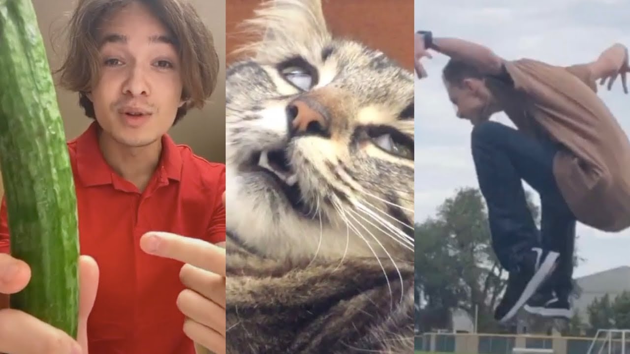 funny vine compilation that'll make you say "wait this a tiktok