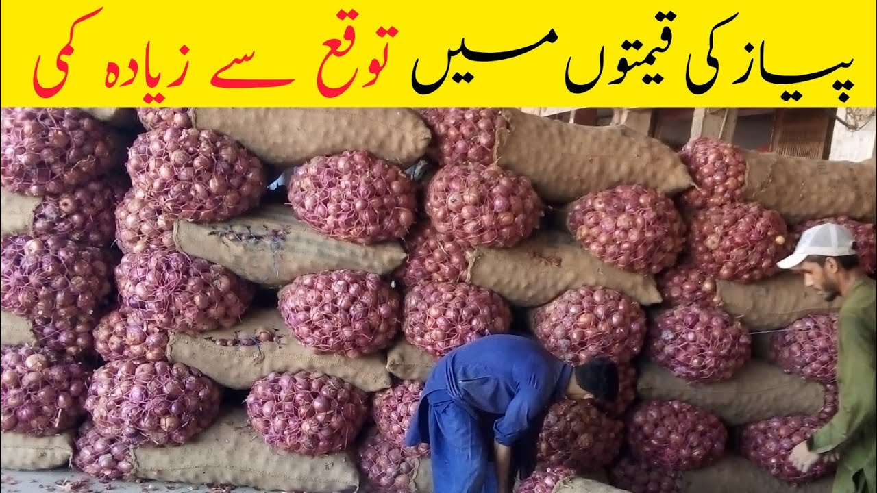 Onion Market Price Today Onion Price In Pakistan Hamas Vs Israel