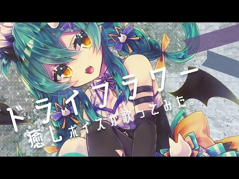 ドライフラワー/優里  covered by 猫雷にゃる【歌ってみた】