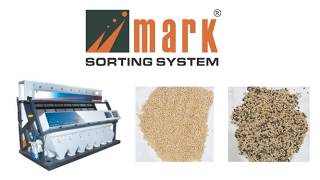 Urad Dal Color Sorting Machine Live Working | Mark Color Sorter | +91 99943 99996