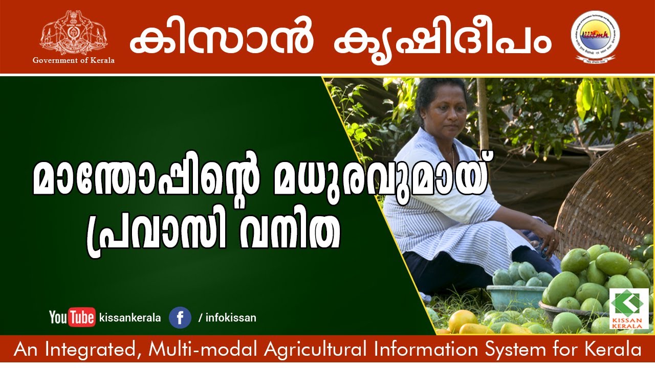 Mango garden carved by pravassi women at Palakkadu