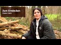 Zum Entdecken: Totes Holz