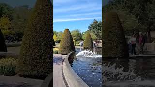 #tulpen#waterfall#beautiful#shortvideos#shortsviral#shorts#ytshorts#plasesubscribe