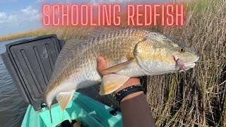 Chasing schooling Redfish in Corpus Christi Texas (Limits!)