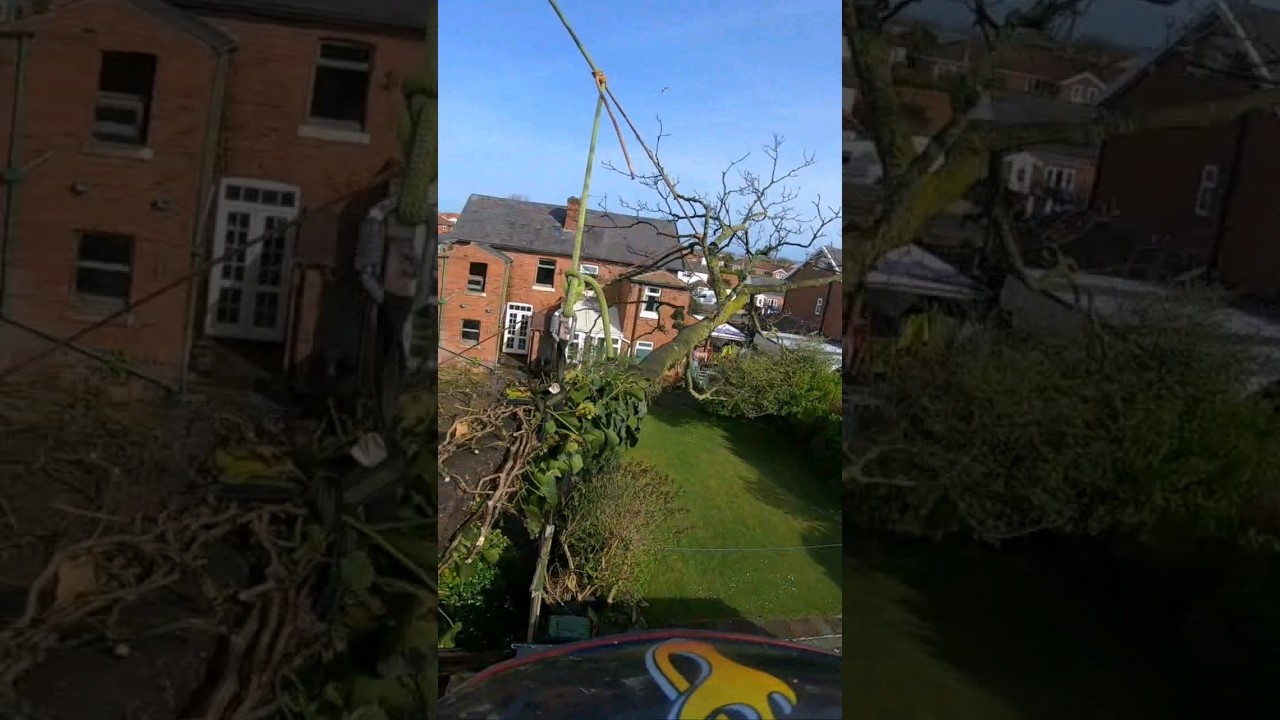 SMOOTH Rigging over roof 