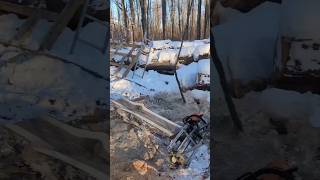 another smaller black walnut log