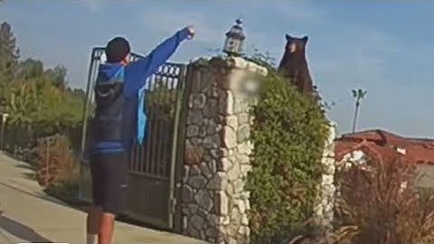 Home security footage captures tense face-off between Amazon driver and bear in Upland