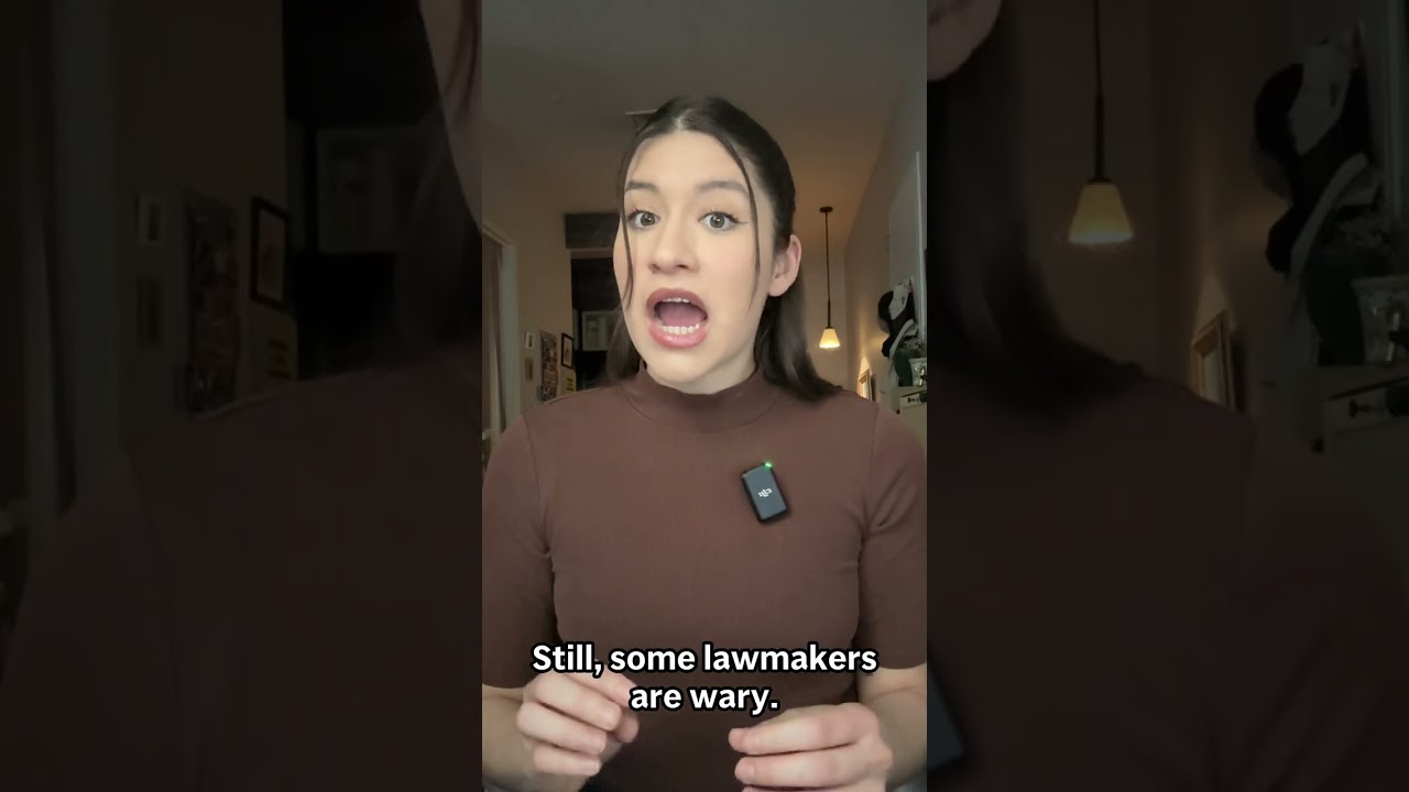 Shoppers are wary of digital shelf labels. Here's why.