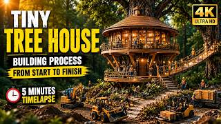 Tiny Tree House Construction from Scratch  Empty Land to Dream Home