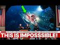 While Filming a Great White, Divers Noticed a Savage Bite — Then They Realized What Made It