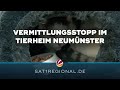 Tierheim Neumünster verhängt Vermittlungsstopp