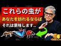 97%の人がこのサインに気づいていません!あなたの家にいる虫のスピリチュアルな意味と豊かさのエネルギー!