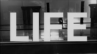Life Explained in 27 Seconds