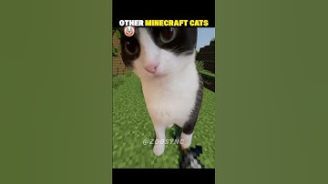 Other Minecraft cats VS Last one 💀 #shorts