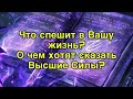 🌿☘️Что спешит в вашу жизнь? О чем хотят сказать Высшие Силы?🍀🌿💫