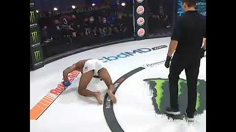 Unexpected Kick: Peter Stanonok Fight Raymond Daniels