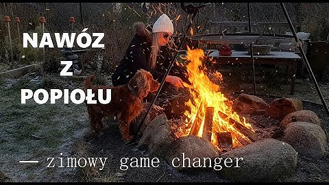 Apply ash in winter! and your vegetable garden will burst with harvests in spring. How to use ash...