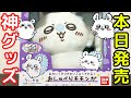 Chiikawa The Talking Flying Squirrel Released Today Is So Funny Chiikawa The Talking Flying Squirrel Released Today Is So Funny