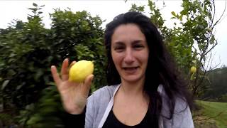 Day 77 - Why We Decided To Move To The Middle Of Nowhere