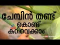 Colocasia Curry recipe